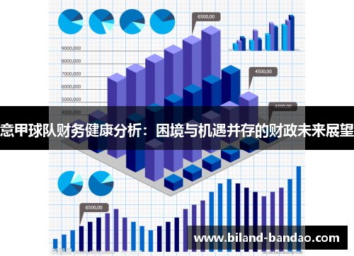 意甲球队财务健康分析：困境与机遇并存的财政未来展望