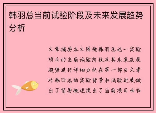 韩羽总当前试验阶段及未来发展趋势分析