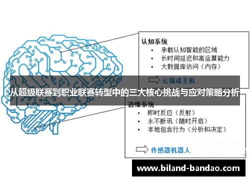 从超级联赛到职业联赛转型中的三大核心挑战与应对策略分析