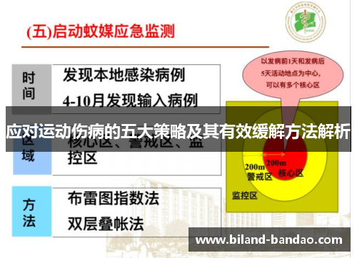 应对运动伤病的五大策略及其有效缓解方法解析