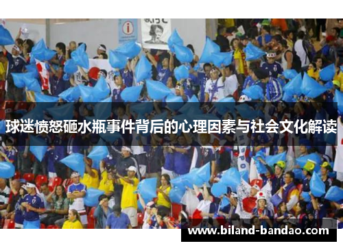 球迷愤怒砸水瓶事件背后的心理因素与社会文化解读