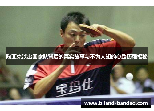 陶菲克淡出国家队背后的真实故事与不为人知的心路历程揭秘
